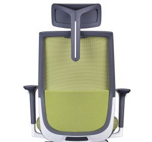 scaun ergonomic tesla verde